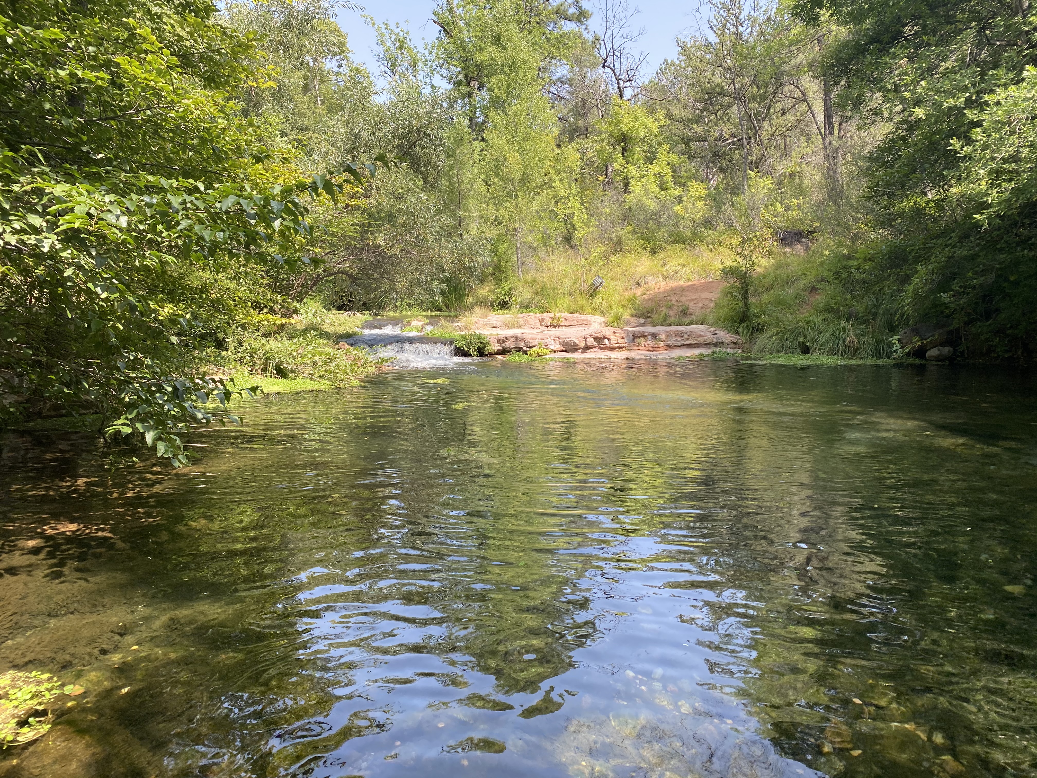 Bob Bear Trail...