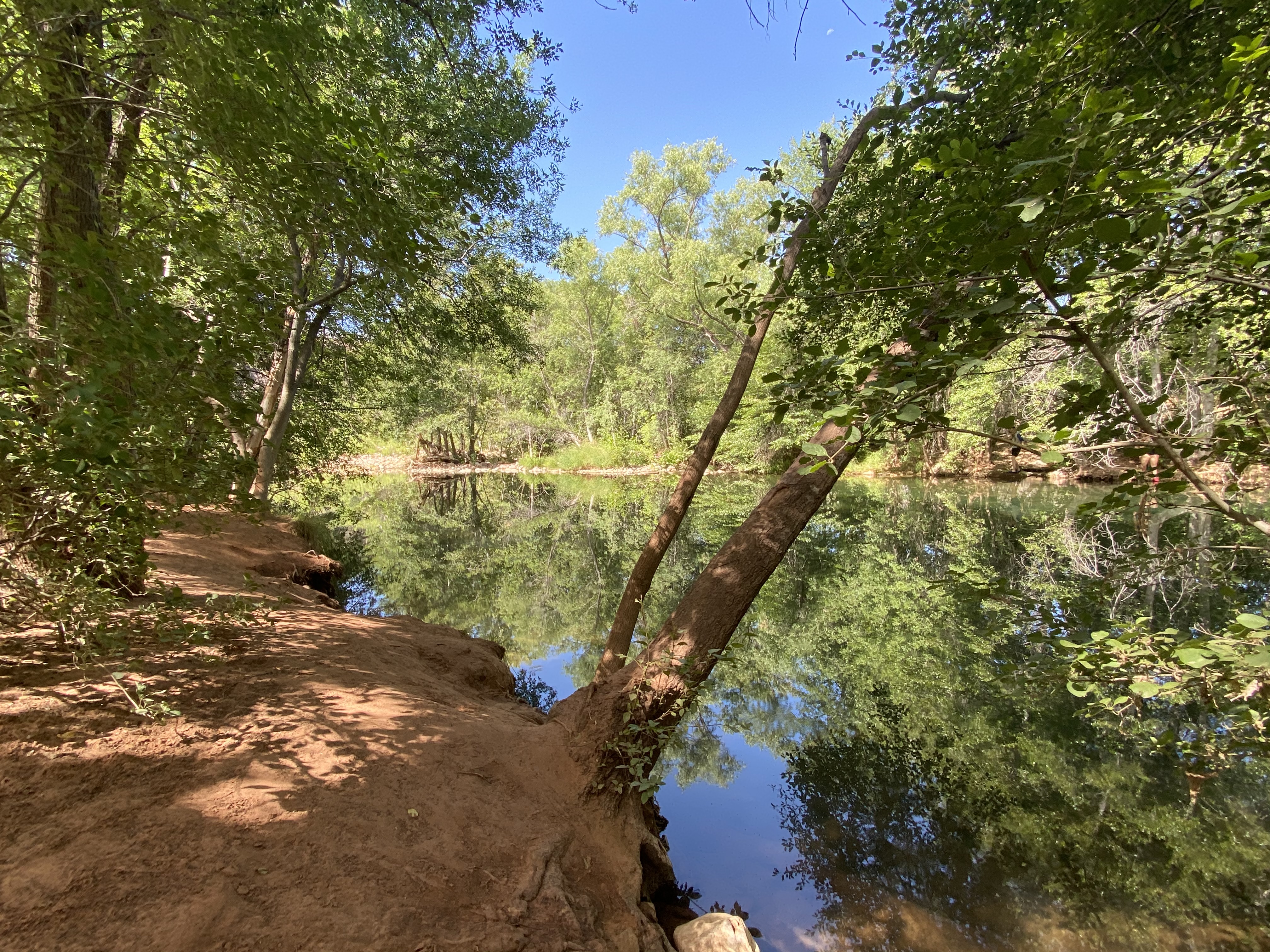 Parsons Spring...