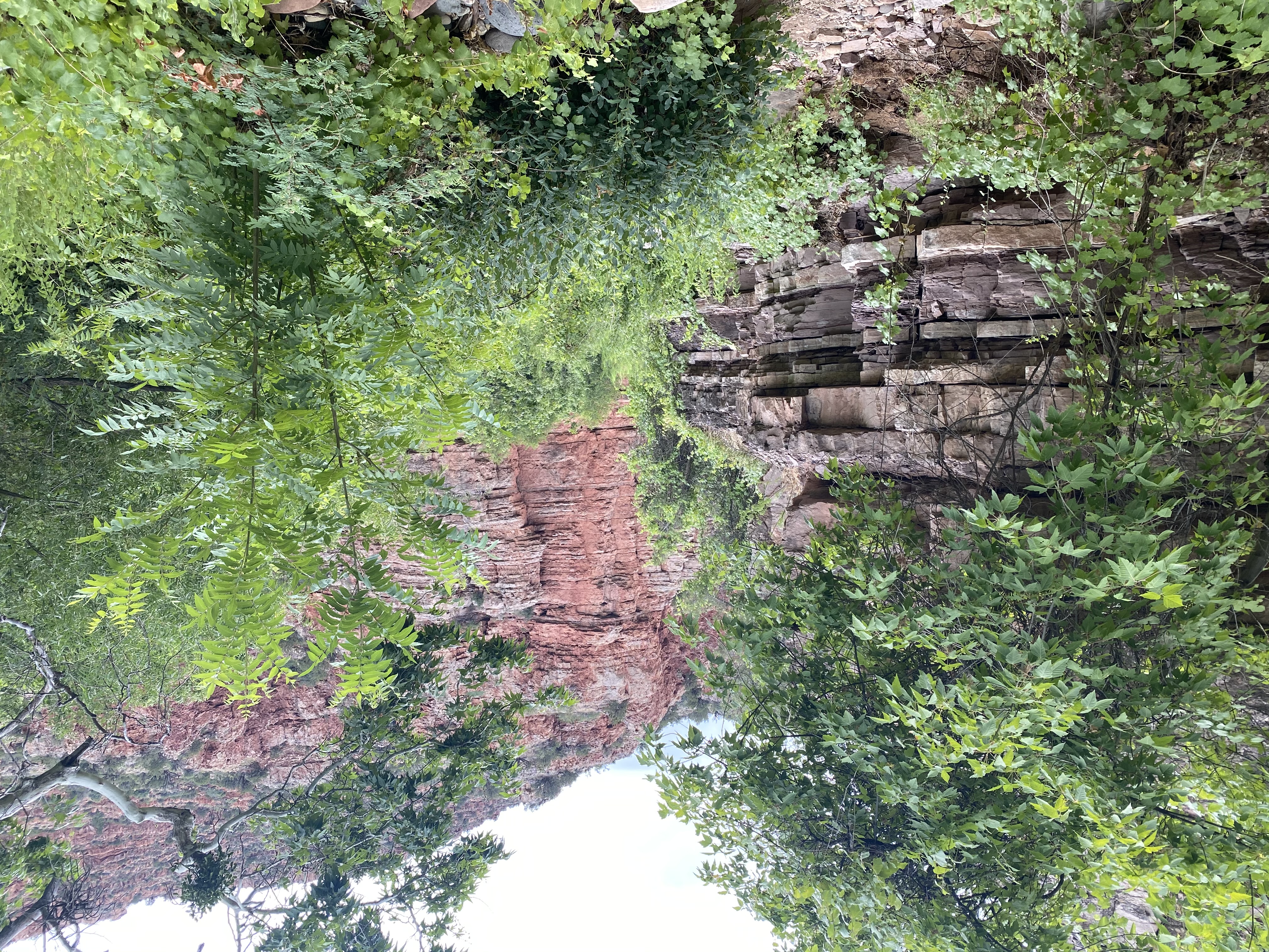 Parsons Spring...