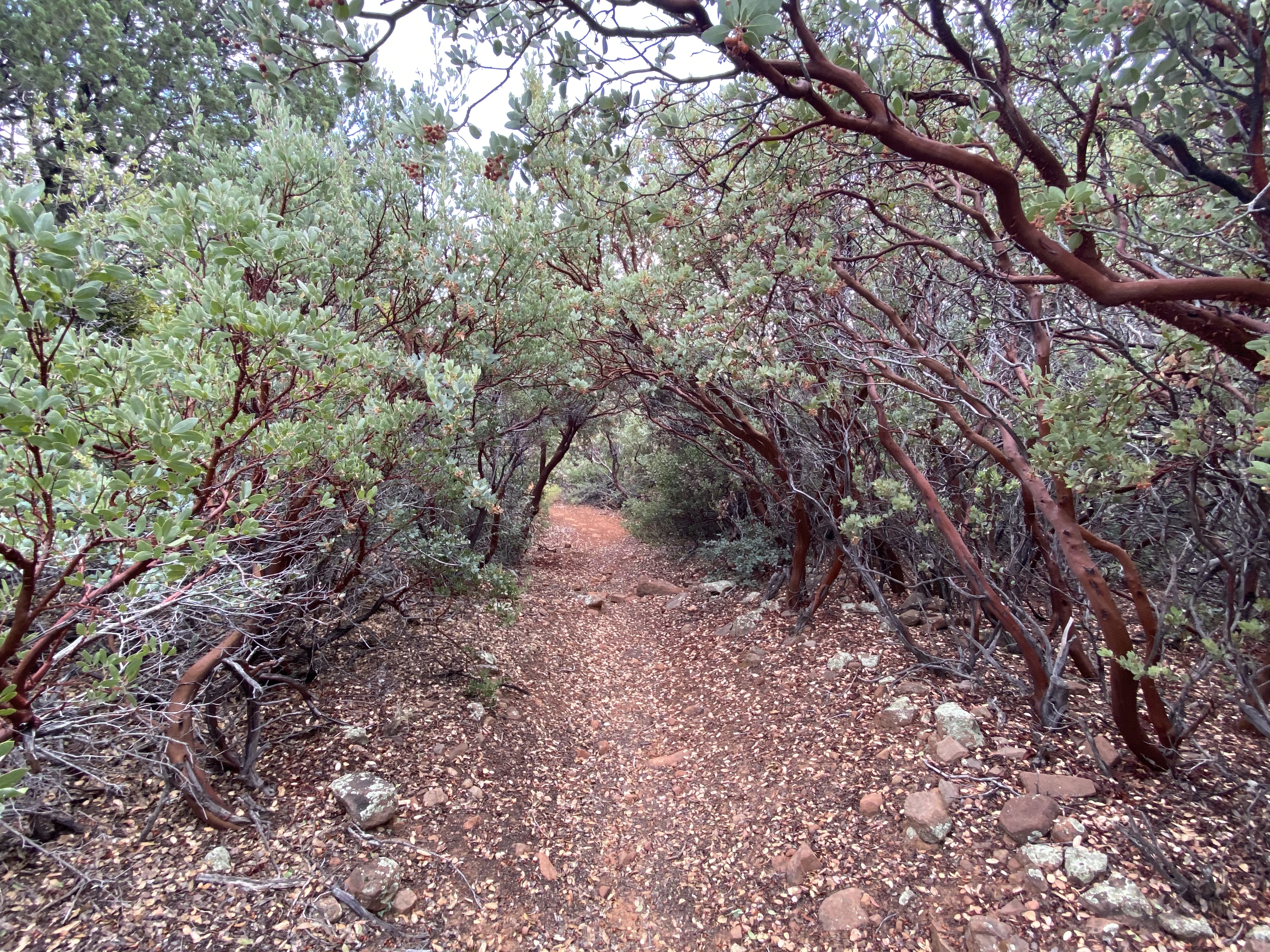 Secret Canyon...