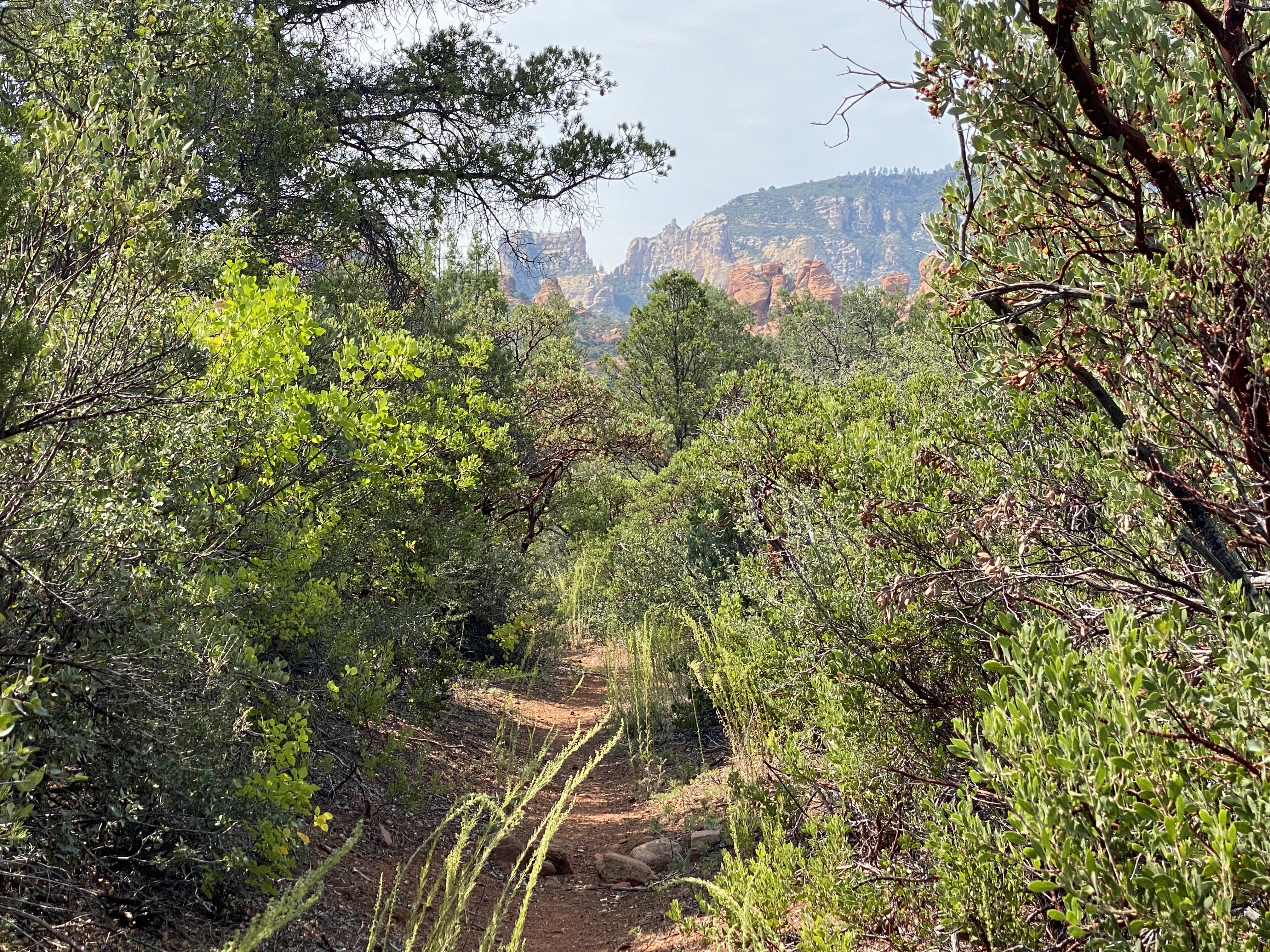 Secret Canyon...