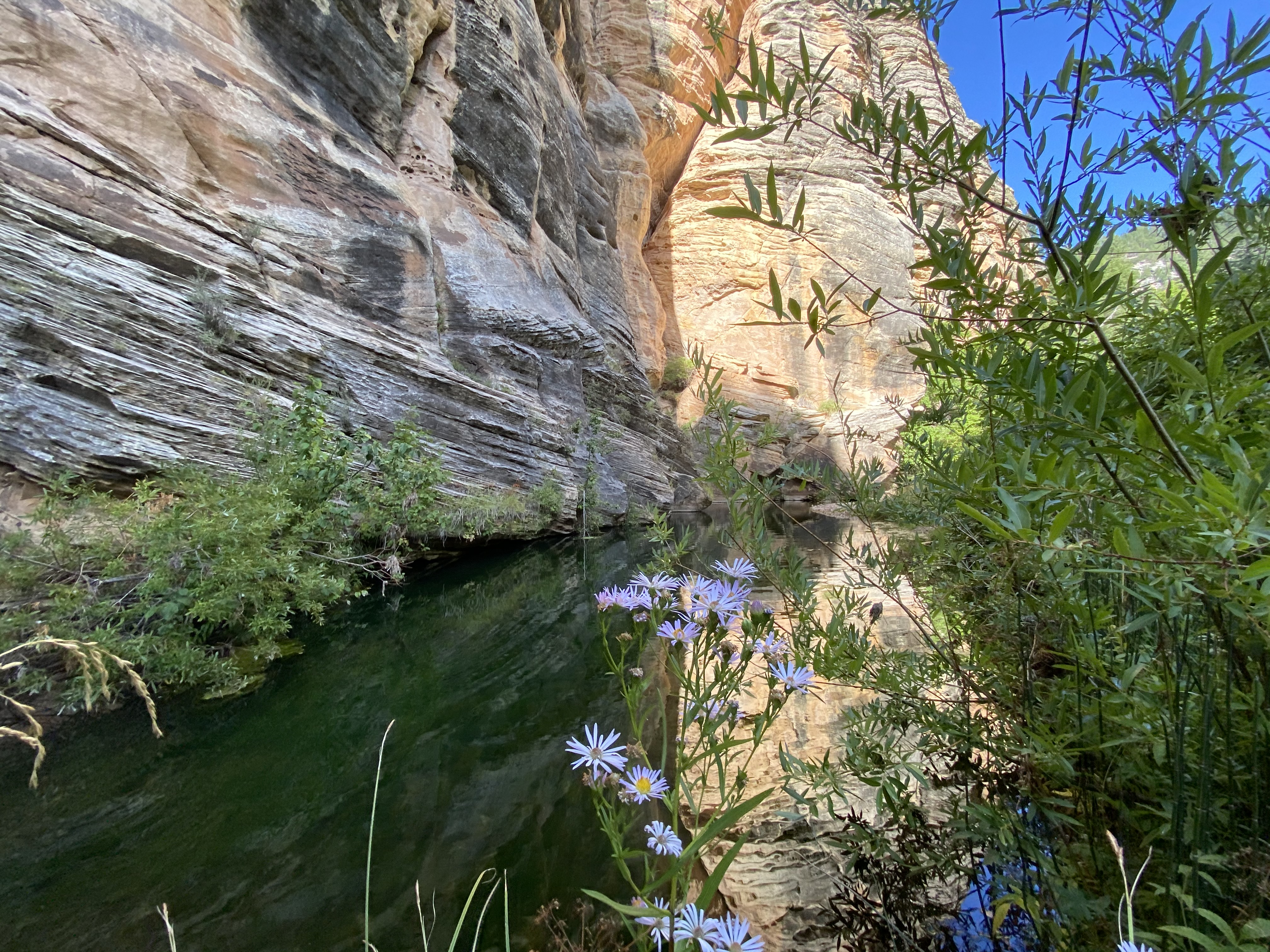 West Clear Creek Trailhead...