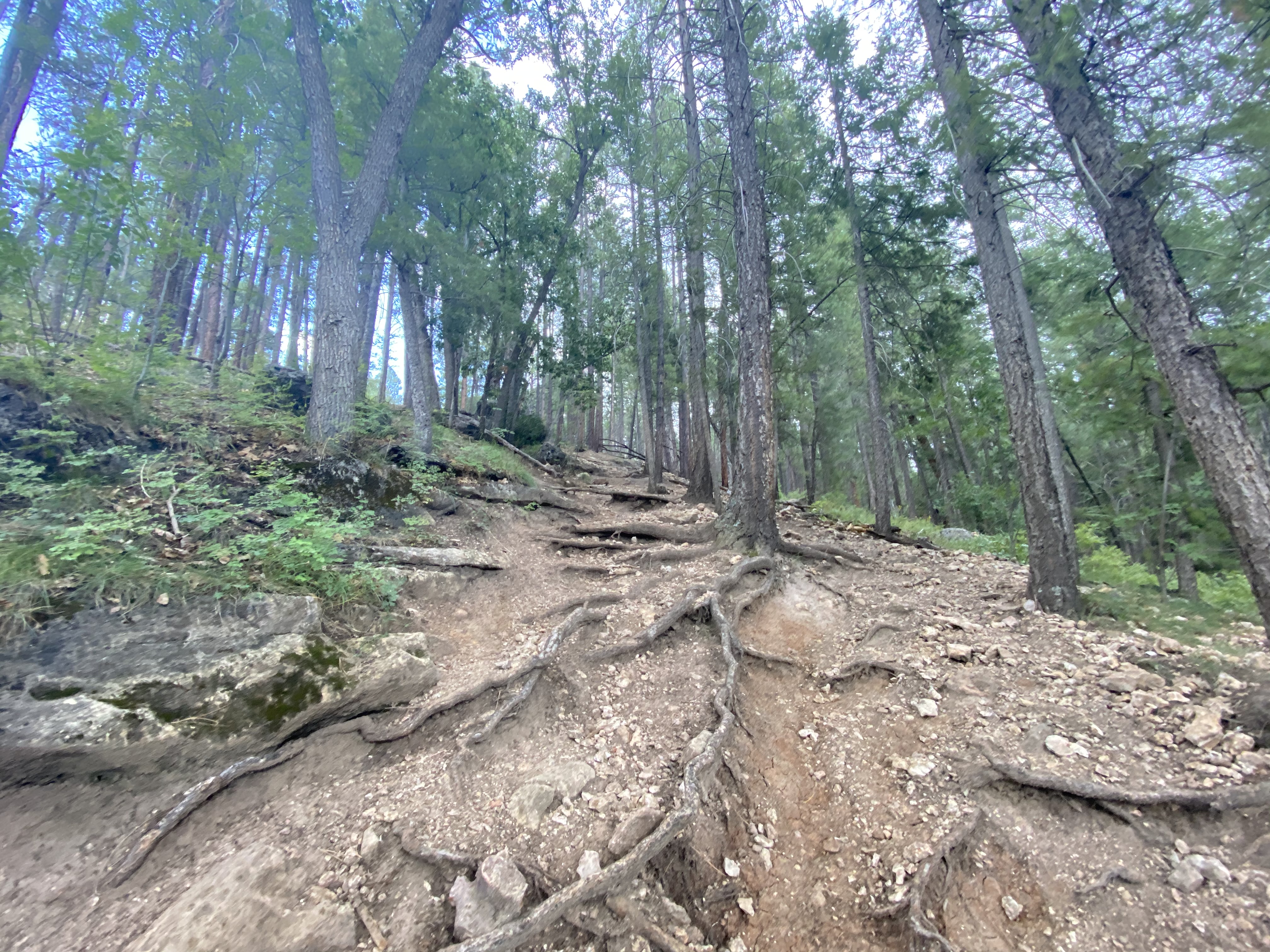 West Clear Creek Trailhead...